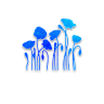 Poppy Grower token image